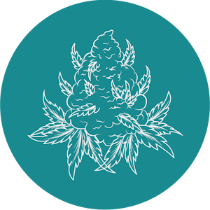 Basic Bud - Basic Bud - 1/2oz Bag - Blood Orange