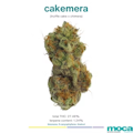 MOCA | Cakemera | Indoor Flower | 1/8oz