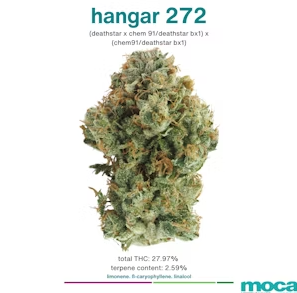 ❁*·⑅moca*·⑅❁*· TFCFL Monkey Chandelier on White Vintage Hemp Rope Monkey Pendant