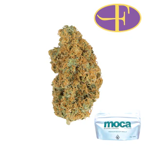 Moca - Skunk #1
