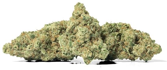 Flower - Sour Cupcake - 3.5G
