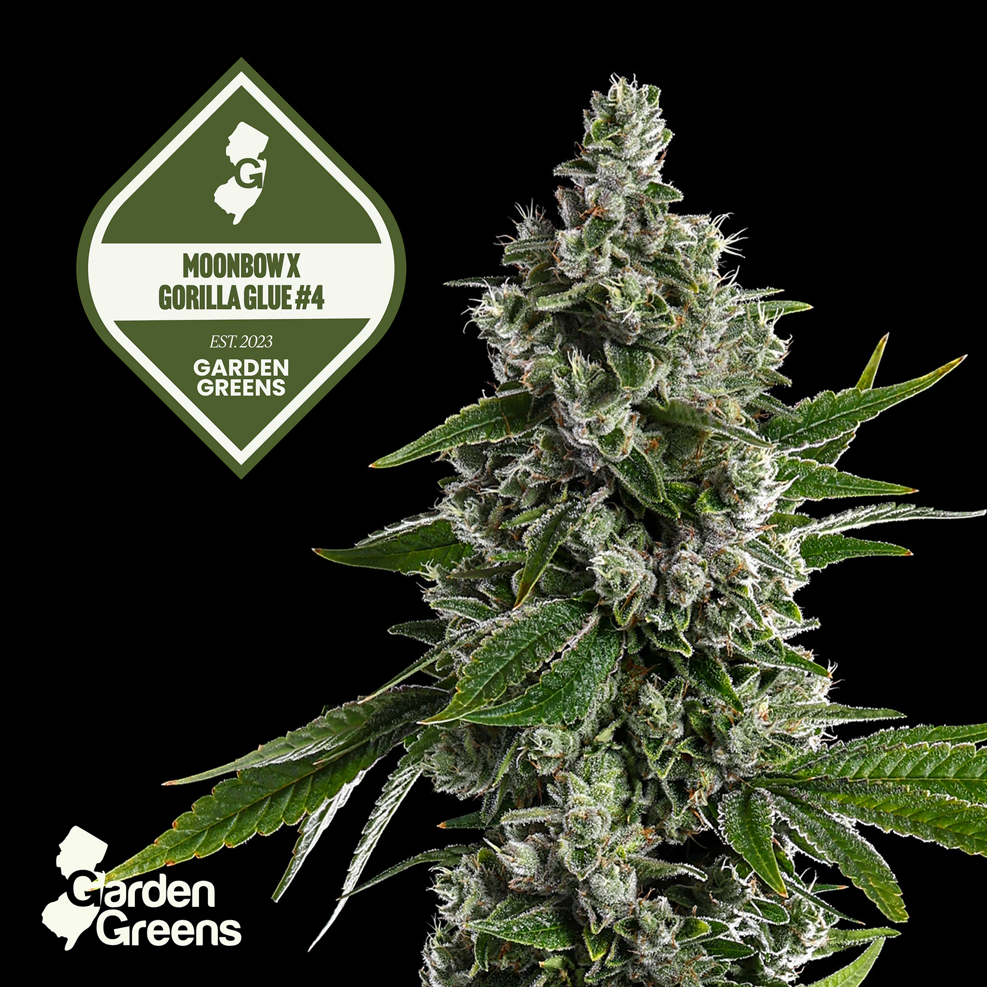 Garden Greens - Garden Greens 3.5g Moonbow X Gorilla Glue #4 Main Image