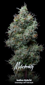 ALTERNATIVE SOLUTIONS - Motor Breath Bulk Deli Flower