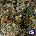 Motor Breath Flower
