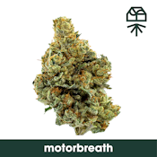 Grass roots | Motor Breath | 3.5g Indica