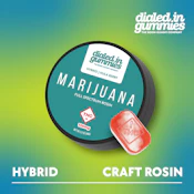 DIALED IN - HULA BERRY ROSIN GUMMIES 100 MG