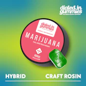 DIALED IN - WATERMELON ROSIN GUMMIES 100 MG