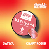 DIALED IN - GUAVA 100MG ROSIN GUMMY