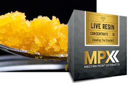 [REC] MPX | Sun Cake | 1g Sugar