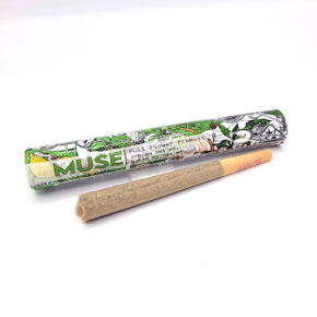 Sunday Runtz Preroll (1g)