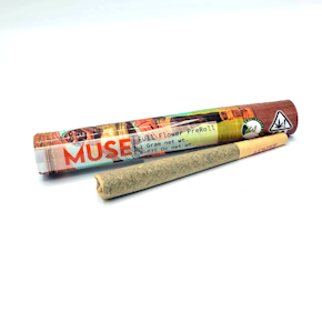 Next Day - S9: Peace Maker Preroll (1g)