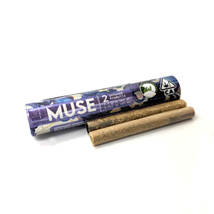 MUSE - Gush Mints x Jelly Donuts - Infused Preroll 2pk (1.5g)