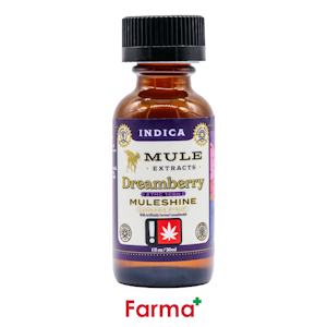 MULE EXTRACTS - Mule Extracts 2:1 Dreamberry CBN Syrup 250mg