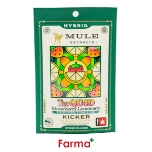 MULE EXTRACTS - Mule Extracts Strawberry Lemonade 1:1:1:1 THC CBD CBG CBN 2pc Kicker Gummy 100mg