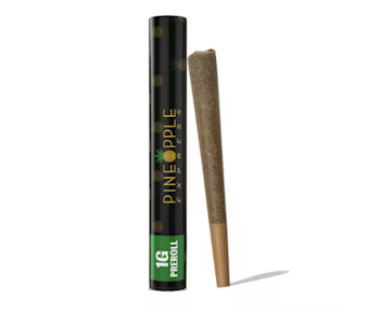 PINEAPPLE EXPRESS - LA KUSH CAKE PREROLL - 1G