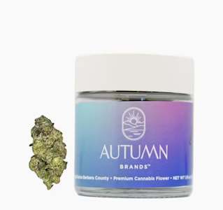 AUTUMN BRANDS - PURPLE CARBONITE - 3.5G