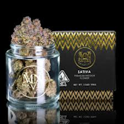 MAVEN | KEY LIME JACK | FLOWER | 3.5G