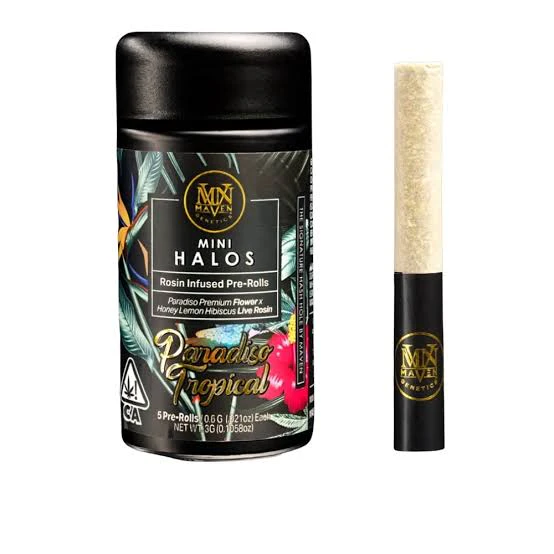 Maven Genetics - MVN (Mini Halos) - Paradiso Tropical - Hash Holes - 3G Main Image