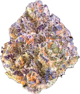 MAVEN GENETICS - Maven Genetics | Umami Butter | Smalls | 14g