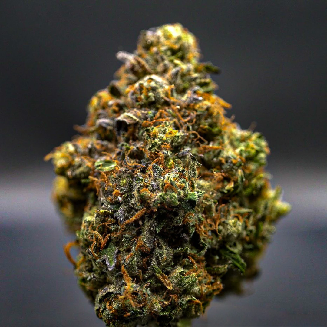 MILKWEED - MilkWeed | Sour Sherbbanger | 3.5G Main Image