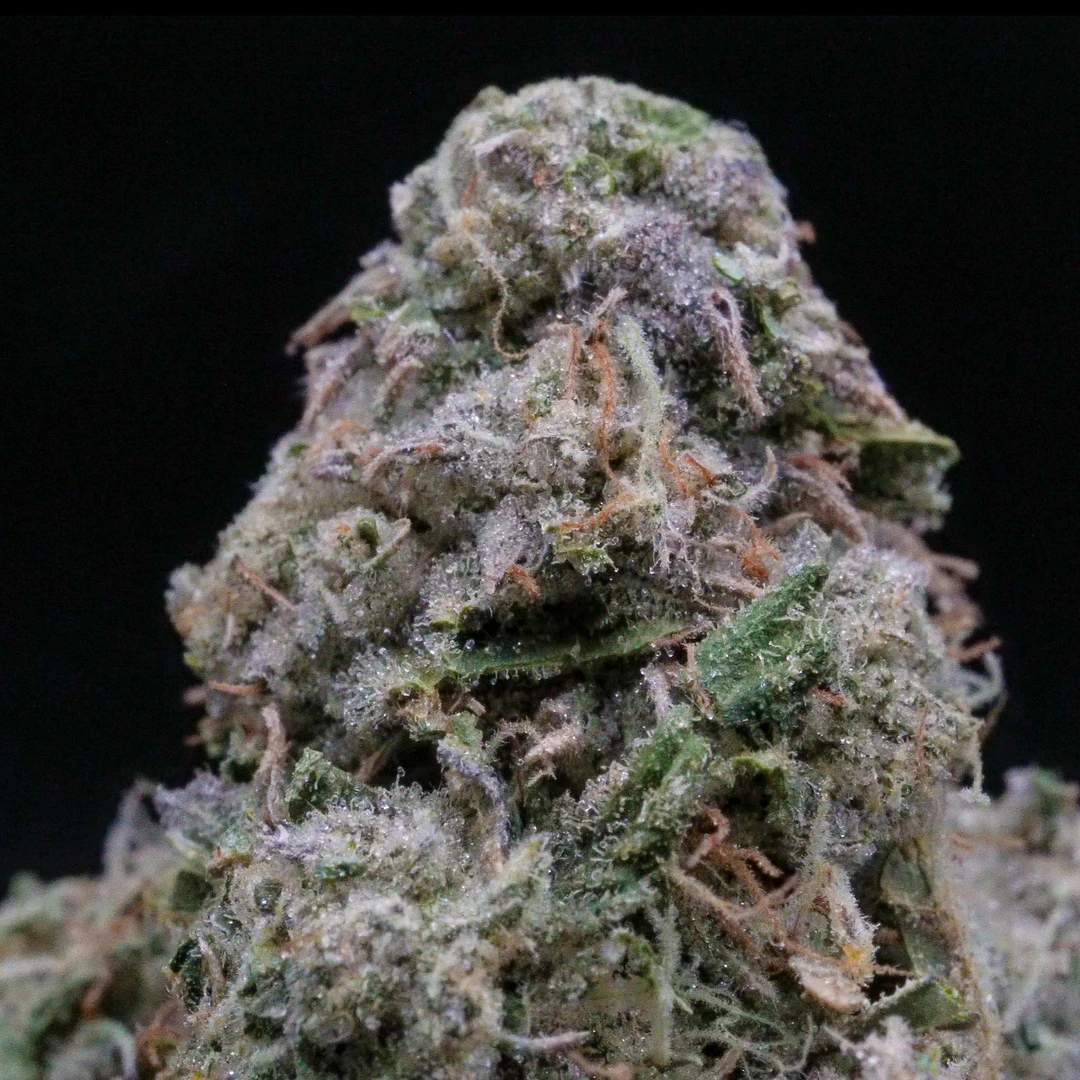 Milkweed - MilkWeed | Toad Venom  | 3.5G Main Image