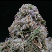 Milkweed - Toad Venom - 3.5g