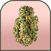 MAC V2 | Pre-packed 3.5g