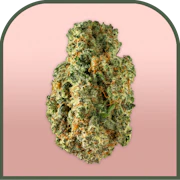 MAC V2 | Pre-packed 3.5g