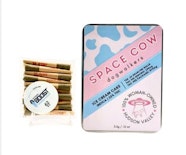 Space Cow - Ice Cream Cake - 10pk .35g Preroll Dogwalker (3.5g) - Pre Roll