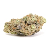 GMO 14g