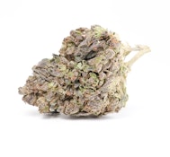 Purple Lantern 14g 