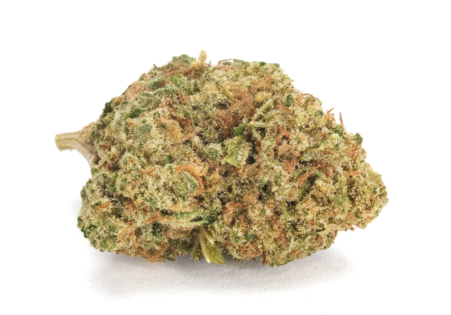 Madrone | Frank Hill | 14g