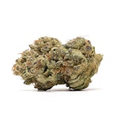Molotov Cocktail |14g