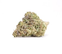 Chem Scout 28g