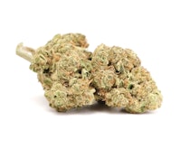 Purple Punch 14g