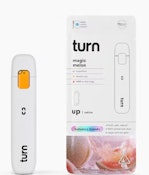 Turn 1g Magic Melon AIO Disposable