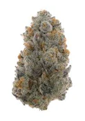 Lemon Cherry Cookie | Mad Packs | Bulk Flower