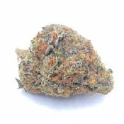 Gelato 44 | Tyson 2.0 | Bulk Flower