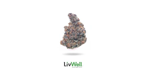 LIVWELL - Mai Tai #1 Main Image