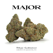 Blue Lobster - 3.5g Premium Flower