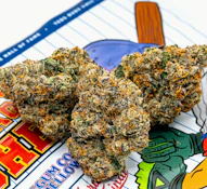 TEDS BUDZ 3.5G Major League Chew Indoor Flower
