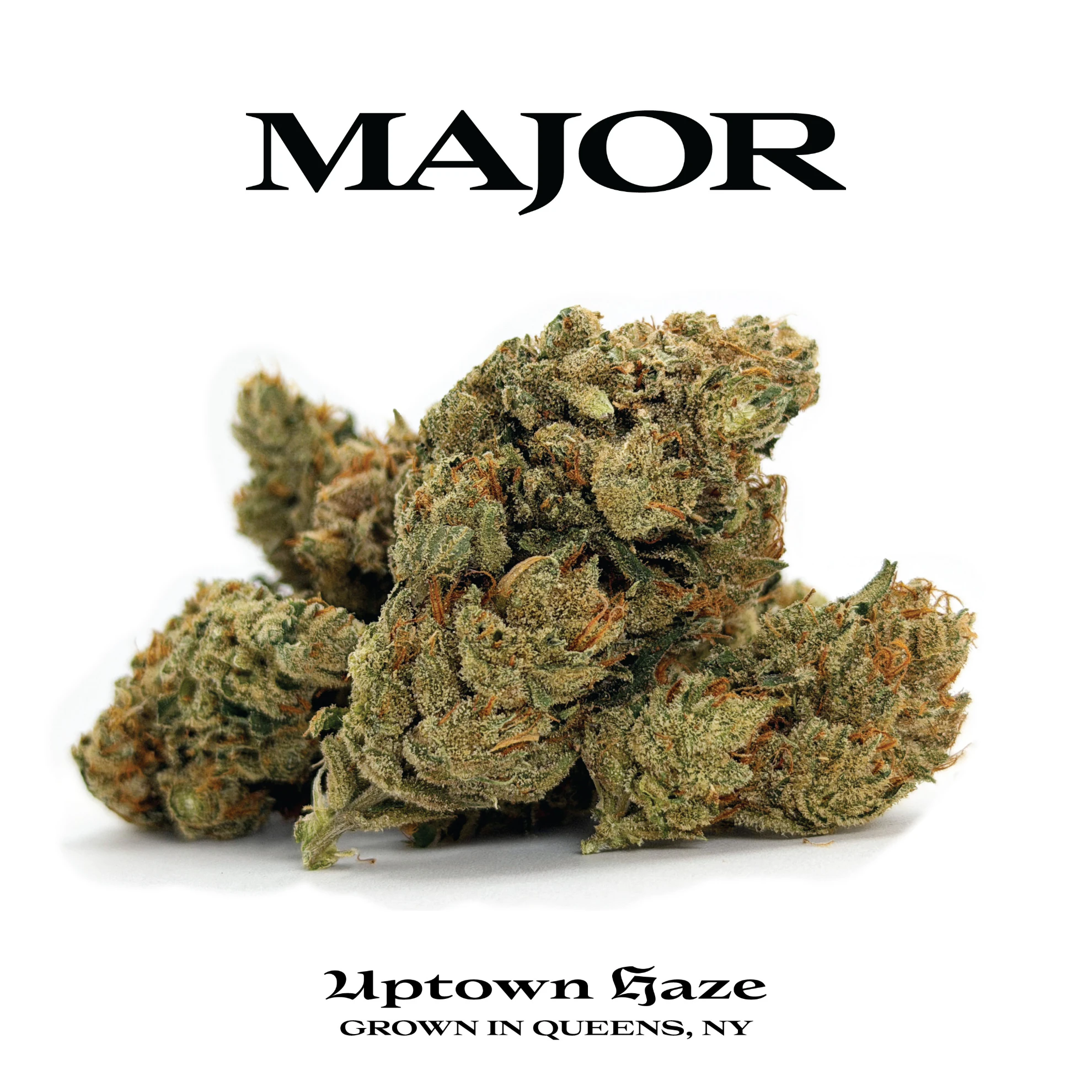 Major - Uptown Haze - 3.5g Premium Flower Main Image