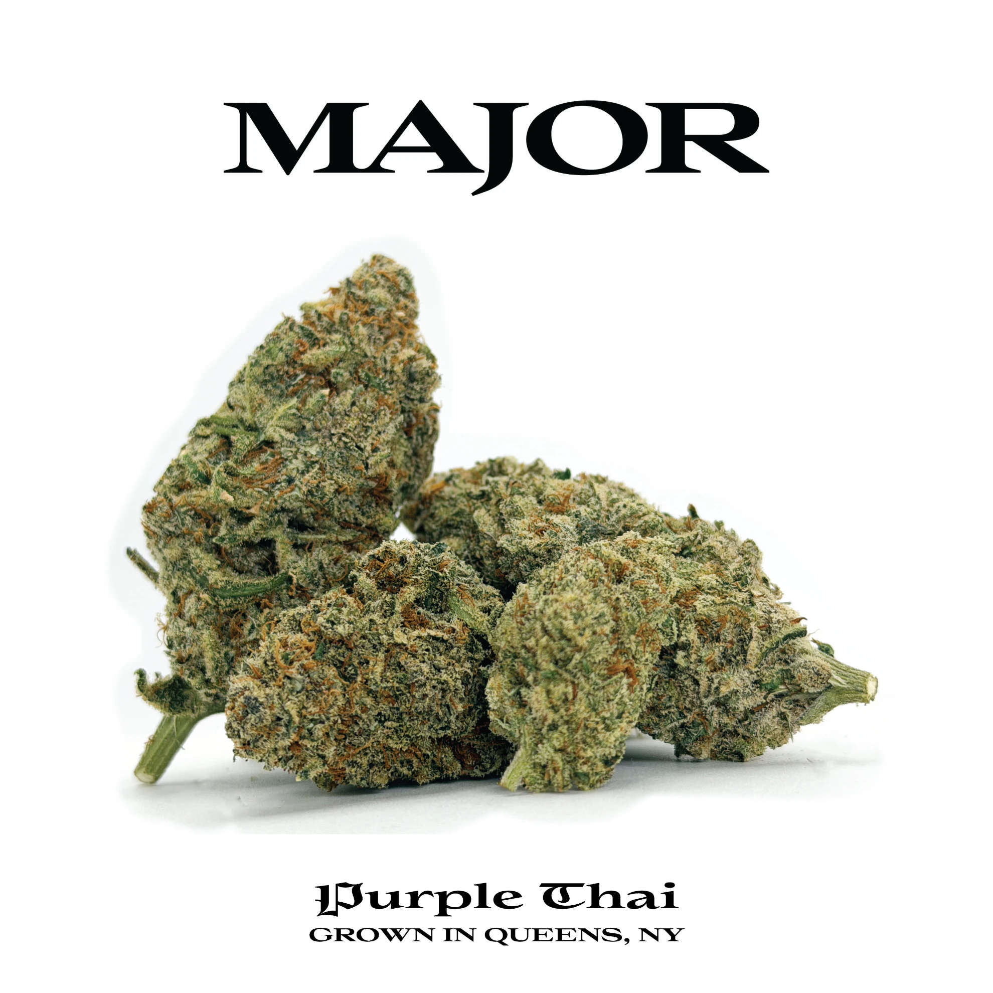 Major - Purple Thai - 3.5g Premium Flower Main Image