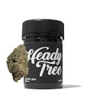 Heady Tree - Malibu Bay Breeze - 3.5g - Flower