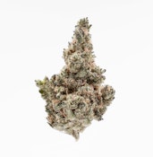 TVC | Mamba | Flower