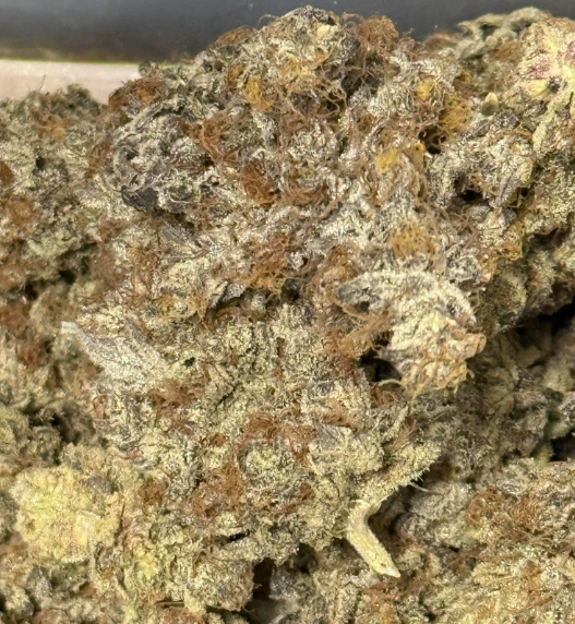 Valhalla Cannabis Company - Mandarin Cookies-Deli Main Image