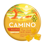 Mango (Serenity) (H) | 5:5mg 20 Pk Camino Gummies | Camino
