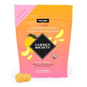 GARDEN SOCIETY - Edible - Mango - 1:1 THC:CBD - 20PK- 100MG