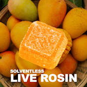 Mango Hash Rosin Gummies - 100MG total