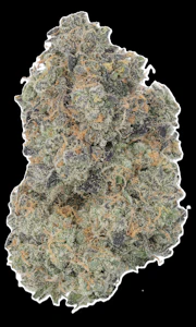 MJ Verdant - Mango Mintality - Buds